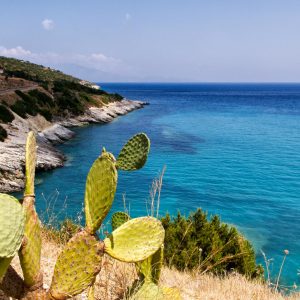 Favignana a portata di mano: perché affidarsi a professionisti per il trasferimento da Palermo
