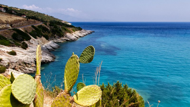 Favignana a portata di mano: perché affidarsi a professionisti per il trasferimento da Palermo